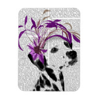 Dalmatien Avec Fascinateur Violet