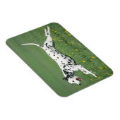Magnet Flexible Dalmatien en cours (Côté Droit)