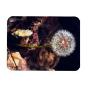 Magnet Flexible Dandelion (Horizontal)