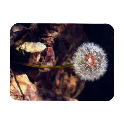 Magnet Flexible Dandelion (Horizontal)