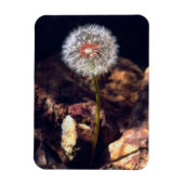 Magnet Flexible Dandelion (Vertical)