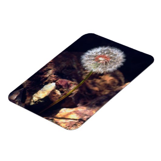 Magnet Flexible Dandelion (Côté Gauche)