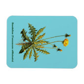 Magnet Flexible Dandelion (Horizontal)
