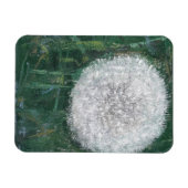 Magnet Flexible Dandelion Head 2008 (Horizontal)