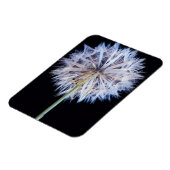 Magnet Flexible Dandelion (Taraxacum Officinale) (Côté Gauche)