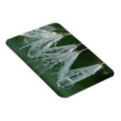 Magnet Flexible Dandelion with Dew Peaceful Nature Meditation (Côté Droit)