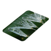 Magnet Flexible Dandelion with Dew Peaceful Nature Meditation (Côté Gauche)