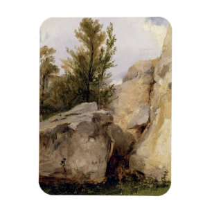 Magnet Flexible Dans la forêt de Fontainebleau, c.1825 (l'huile