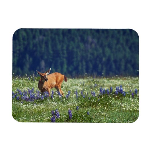 Magnet Flexible Dans le pré (Horizontal)