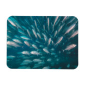 Magnet Flexible Dans Les Jacks (Horizontal)