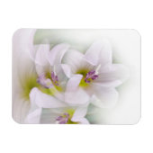 Magnet Flexible danse des fleurs (Horizontal)