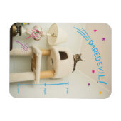 Magnet Flexible Daredevil Cat (Horizontal)