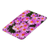 MAGNET FLEXIBLE DATES (Côté Gauche)