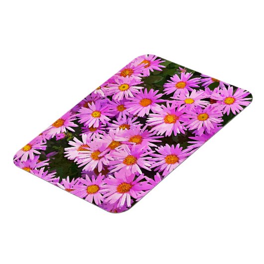 MAGNET FLEXIBLE DATES (Côté Gauche)