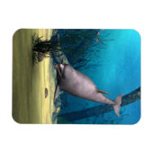 Magnet Flexible Dauphin (Horizontal)