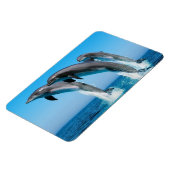 Magnet Flexible Dauphins (Côté Gauche)