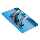 Magnet Flexible Dauphins (Côté Droit)