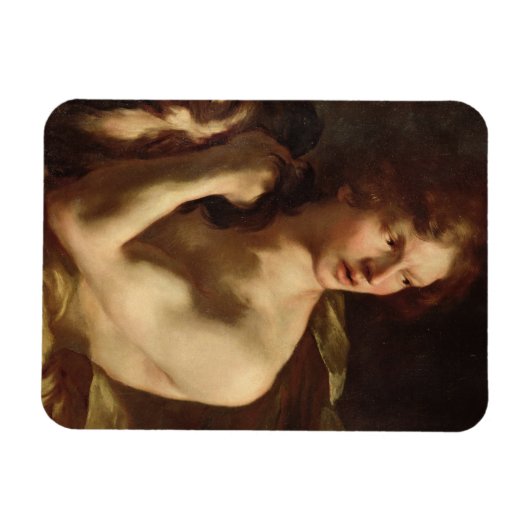 Magnet Flexible David (Horizontal)