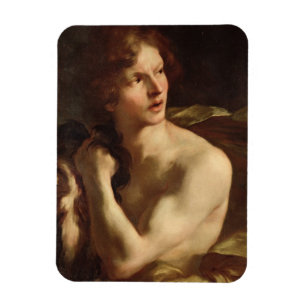 Magnet Flexible David