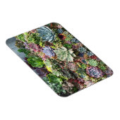 Magnet Flexible De beaux succulents (Côté Droit)