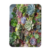 Magnet Flexible De beaux succulents (Vertical)