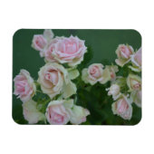 Magnet Flexible De belles roses de jardin rose clair (Horizontal)