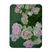 Magnet Flexible De belles roses de jardin rose clair (Vertical)