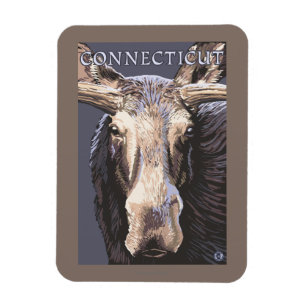 Magnet Flexible De ConnecticutMoose fin
