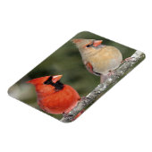 Magnet flexible de la photographie cardinale du No (Côté Gauche)