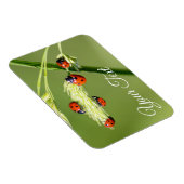 Magnet Flexible De mignons petits coccinelles donnent chance et fo (Côté Droit)