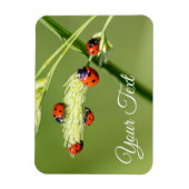 Magnet Flexible De mignons petits coccinelles donnent chance et fo (Vertical)