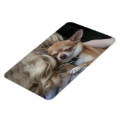 Magnet Flexible Dearly Beloved (Côté Gauche)