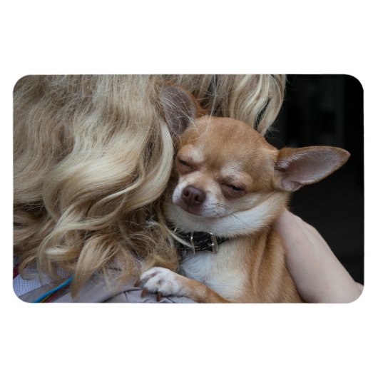 Magnet Flexible Dearly Beloved (Horizontal)