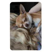 Magnet Flexible Dearly Beloved (Vertical)