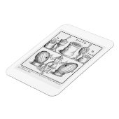 Magnet Flexible Déclaration fixant la date du prochain dessin (Côté Gauche)