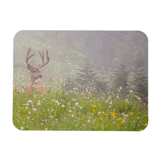 Magnet Flexible Deer Buck | Parc national du Mont Rainier (Horizontal)