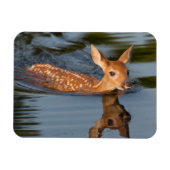 Magnet Flexible Deer Fawn | Minnesota (Horizontal)