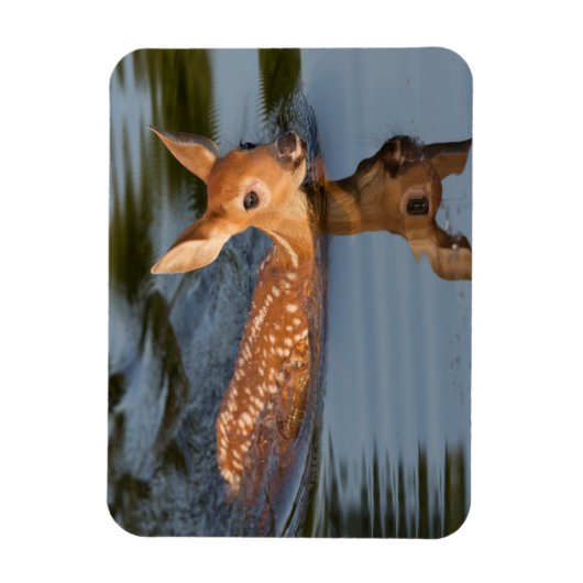 Magnet Flexible Deer Fawn | Minnesota (Vertical)