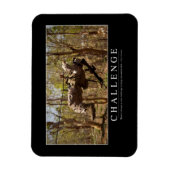 Magnet Flexible Défi : Citation Inspirationnelle 2 (Vertical)