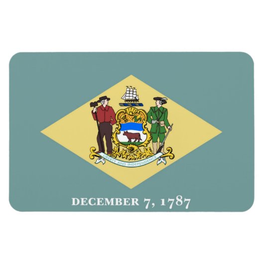 Magnet Flexible Delaware (Horizontal)