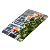 Magnet Flexible Délicat mignon daffodils printemps (Côté Gauche)