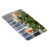 Magnet Flexible Délicat mignon daffodils printemps (Côté Droit)