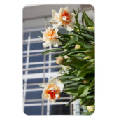 Magnet Flexible Délicat mignon daffodils printemps (Vertical)