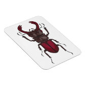 Magnet Flexible Dendroctone du pin (Côté Droit)