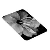 Magnet Flexible Dépliant de l'Hibiscus (Côté Droit)