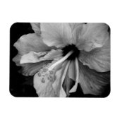 Magnet Flexible Dépliant de l'Hibiscus (Horizontal)
