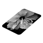 Magnet Flexible Dépliant de l'Hibiscus (Côté Gauche)