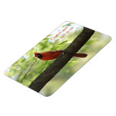 Magnet Flexible Des cardinaux apparaissent quand les anges sont pr (Côté Gauche)