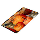 Magnet Flexible Des chatons de Thanksgiving et des citrouilles (Côté Gauche)