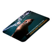 Magnet Flexible Des lions de mer soufflant des bulles sous l'eau (Côté Gauche)